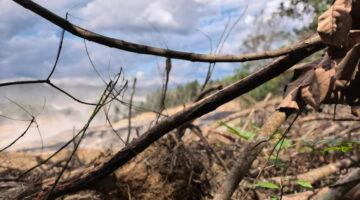DOSA EKOLOGIS DI ATAS TANAH JARAHAN,Status Tersangka Para Kades Bongkar Borok Operasional dan Kejahatan Kehutanan PT AGM di Hulu Sungai Selatan