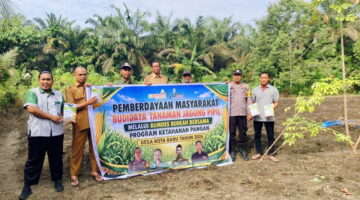 Target swasembada pangan, Polri & BUMDes Desa Kita Baru tanam 30 ribu jagung pipil Betras 1 Ha metode tumpang sari. Polsek Tapung Hilir kawal panen Agustus 2026.